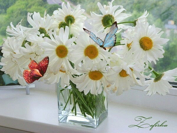 Дарья Тюкина