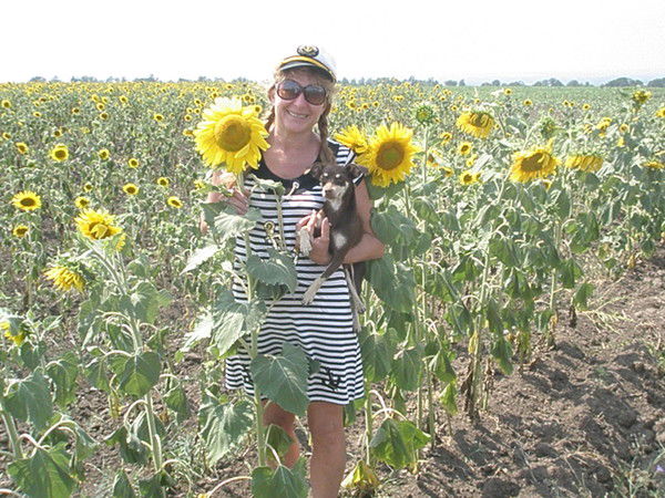 Елена Стипура