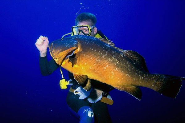 Алексей Бицай