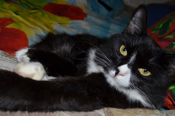 Сергей Сержанов