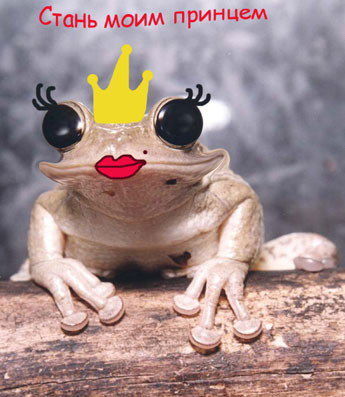 Яна Снегирева