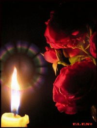 Полина Бондаренко