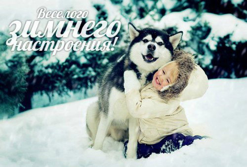 Андрей Свиридов