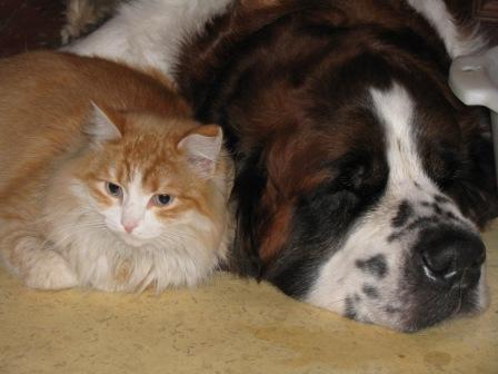 Наталья Короткова