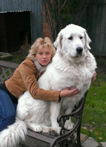 Лариса Куцевол