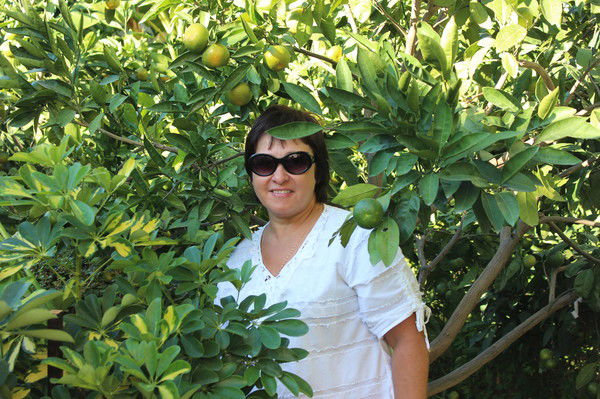 Елена Седова