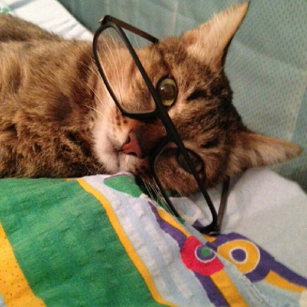 Василий Бухаров