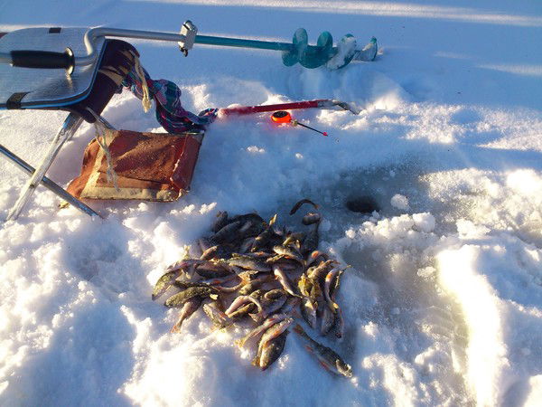 Сергей Черников