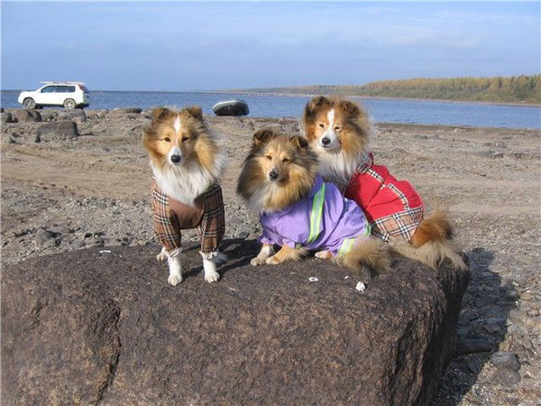 Юлия Щеблакова