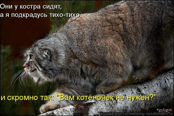 Светлана *****