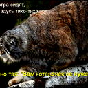 Светлана *****