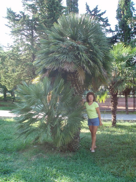 Елена Украинская