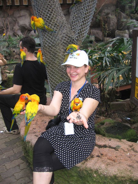 Светлана Овчинникова