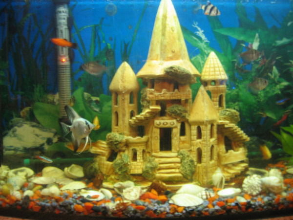 Николай Осташов