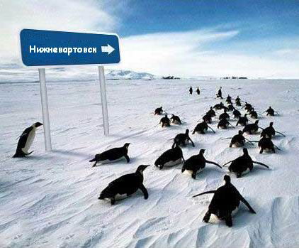 Ольга Кислухина