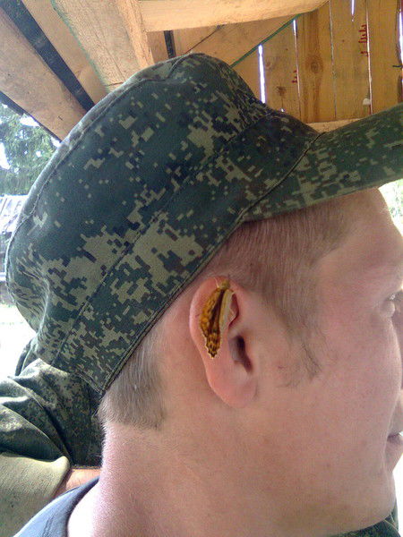 Денис Ерофеев