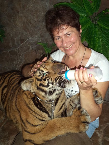 Марина Сокол