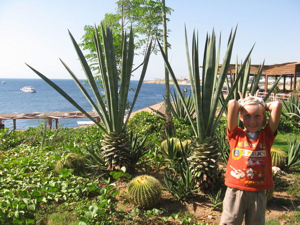 Илья Гетьманенко