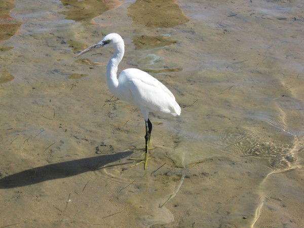 Мария Мельникова