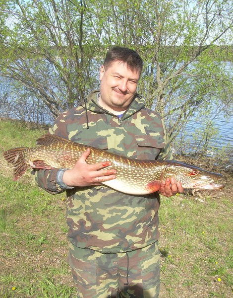 Андрей Горяев