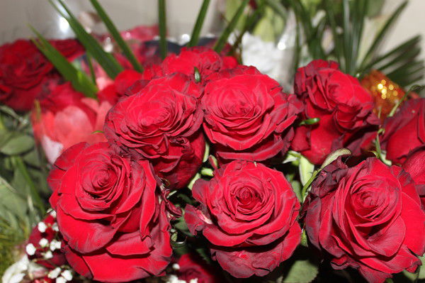 Гюзель Дианова