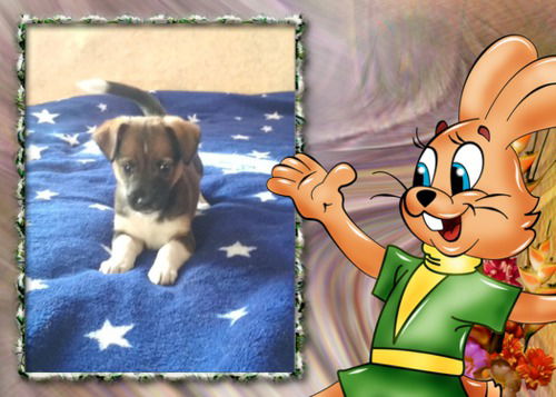 Татьяна Кузнецова