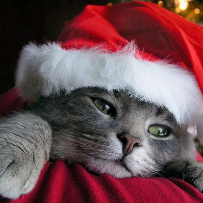 Виталя Шадрин