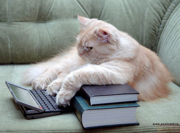 Ксения Токарева