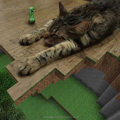 Настя Аксёнова