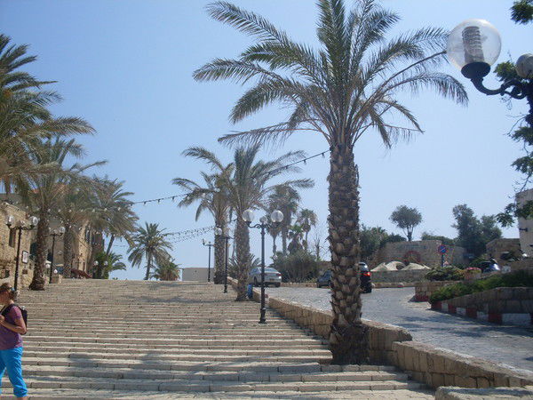 Светлана Яковлева