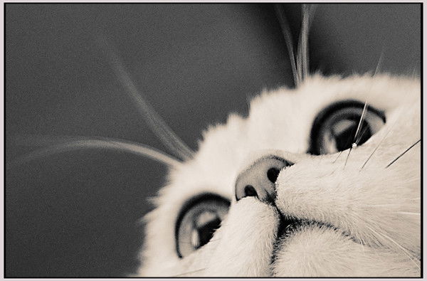 Светлана Пилюгина