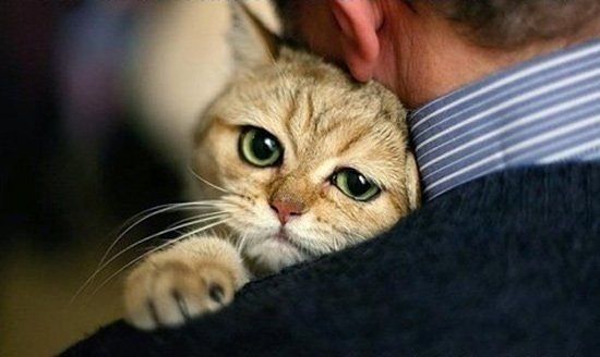 Санек Галилов