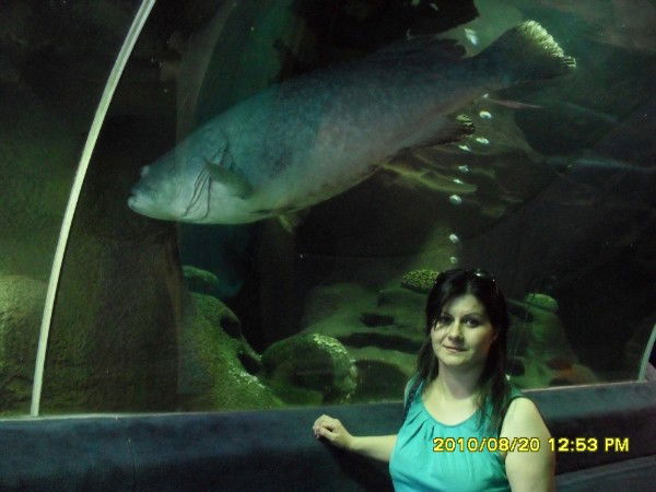 Наргиз Карамова