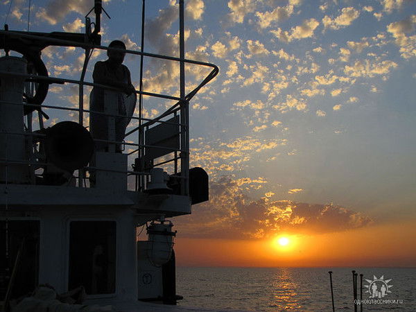 Елена Сулименко