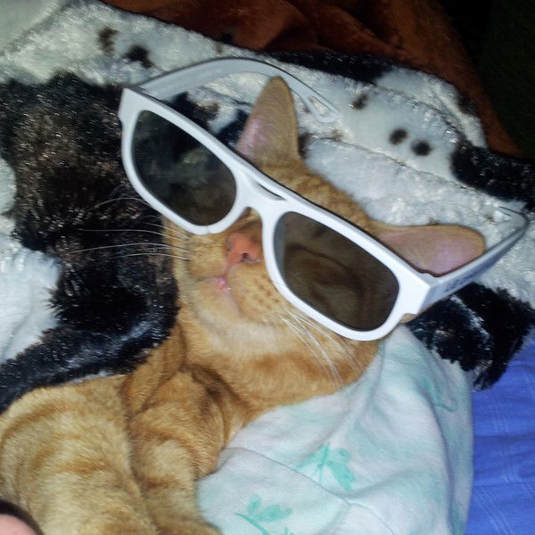 Дмитрий Аксёнов