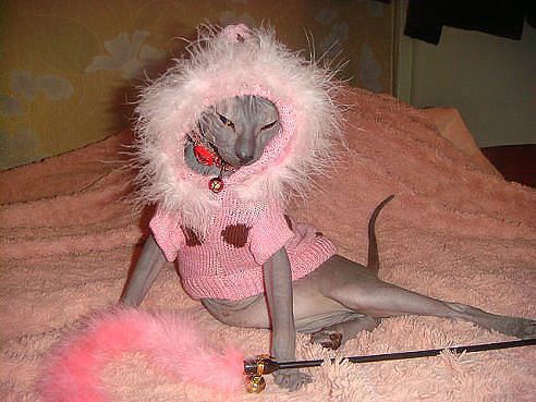 **** Нелли ****