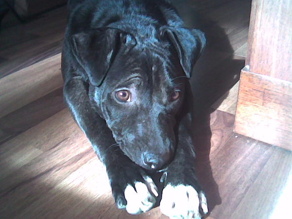 Артём Косенков