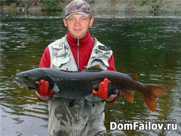 Андрей Мальганов