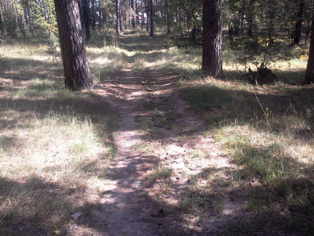 Виктор Борзов