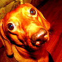 Владимир Костенко