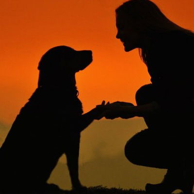 Анастасия Зотова