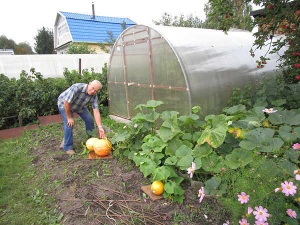 Юрий Афанасьев