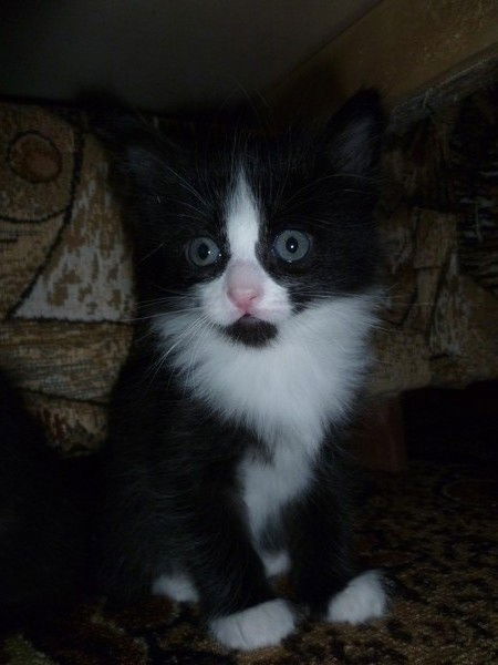 Маша Бондарева