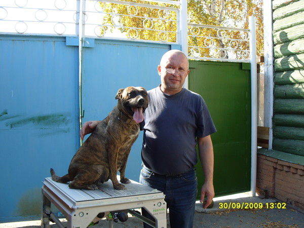 Александр Ищенко