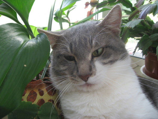 Наместникова Любовь