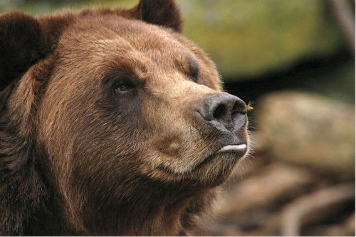 Сакен Адилов