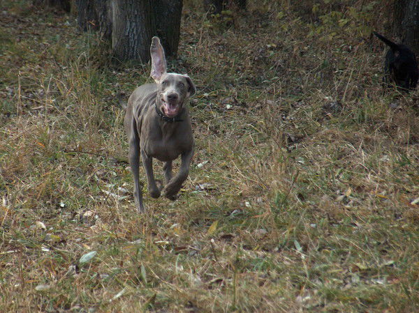 Ирина Антюхова