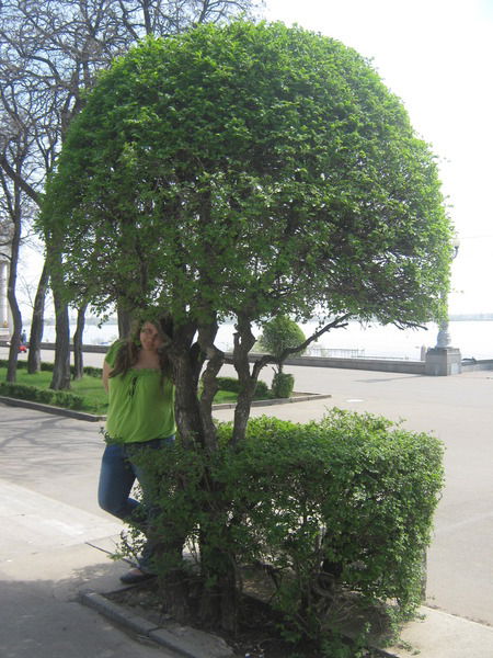 Наташенька Герасимова