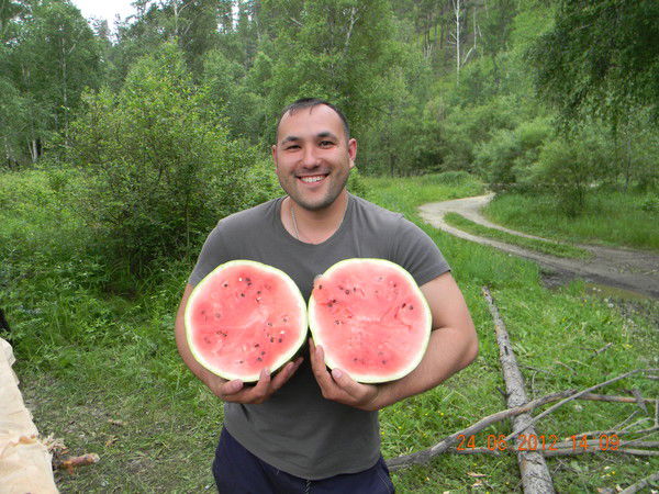 Алексей Семенов