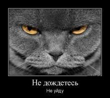 Людмила Паршакова